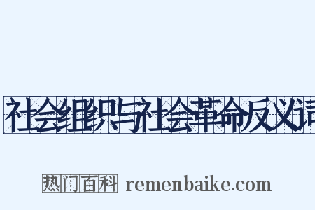 社会组织与社会革命反义词是什么意思的图片